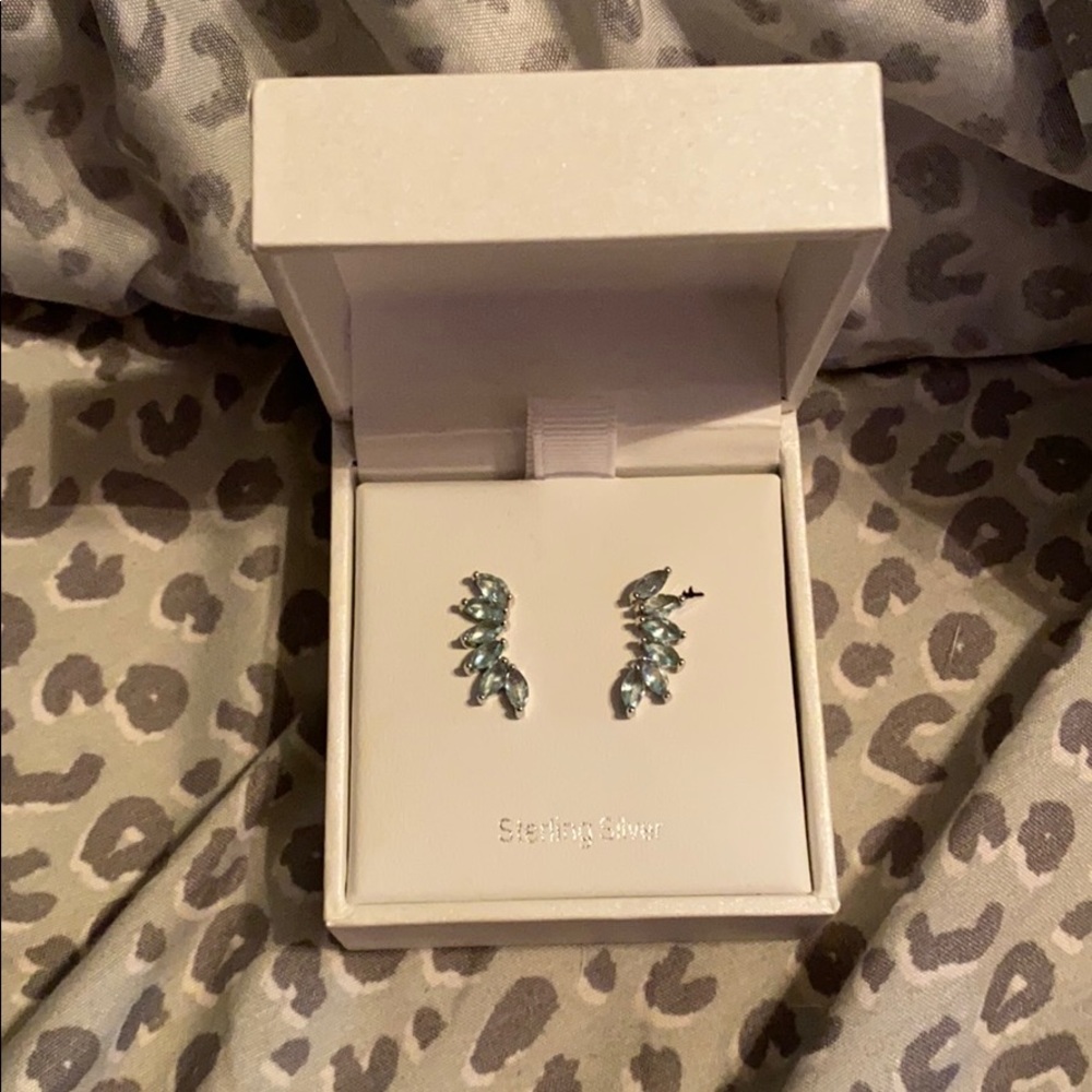 Addison Blvd Sterling Silver Leaf Earrings